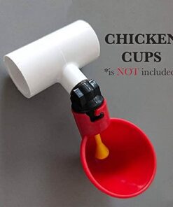 10 PVC Tee for Threaded Red Chicken Nipples Or Threaded Brass Rabbit Nipples 17 41f0QUyqUVL