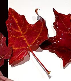 XTC-3D - High Performance 3D Print Coating - 24 Ounce Unit 31 41fF1C3R87L