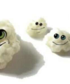 Cultures for Health Milk Kefir Grains | DIY Frothy Dairy Non-GMO Probiotic Drink for Stronger Gut Health | Limitless Heirloom Style Starter | Easy to Flavor or Add to Recipes | Bulgaros De Leche 55 41fY7CuRLbL