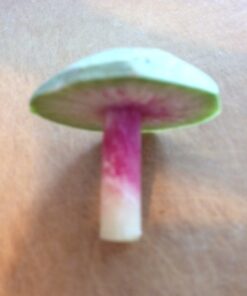 Paderno World Cuisine 3-Blade Vegetable Slicer / Spiralizer, Counter-Mounted and includes 3 Stainless Steel Blades White 77 41flWM7tlkL