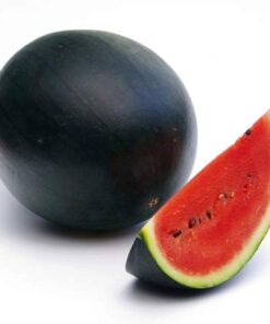 Heirloom Fruit Seeds- Non Hybrid- Real Survival Seeds. Honeydew Green Melon, Banana Melon, Honey Rock Cantaloupe, Watermelon Crimson Sweet, Sugar Baby Watermelon Seeds, Hales Best Jumbo Melon,Non GMO 24 41fmGXtwXlL