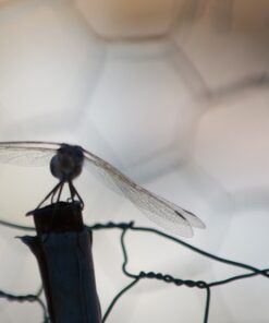 Nikon AF-S DX NIKKOR 55-300mm f/4.5-5.6G ED Vibration Reduction Zoom Lens with Auto Focus for Nikon DSLR Cameras Lens Only 23 41gCWkbqRXL