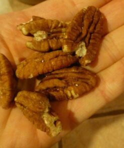 FirstChoiceCandy Healthy Gourmet Unsalted Natural Raw Pecans, 5 Pound Natural Raw Unsalted 5 Pound (Pack of 1) 14 41gyDHvrEJL