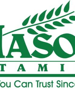 Mason Natural Ferrous Gluconate - Supports Red Blood Cell Formation, Gentle on Stomach Iron Supplement, 100 Tablets Unflavored 100 Count (Pack of 3) 11 41hH3EbaOS