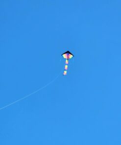 AGREATLIFE Rainbow Kite for Kids & Kites for Adults Easy to Fly, Kites for Kids Ages 4-8 Easy to Fly, Large Kites for Kids Ages 8-12, Kites for Toddlers Age 3-5, Beach Kite, Kids Kite for Beginner Classic Rainbow 44 41hKvFByavL 1