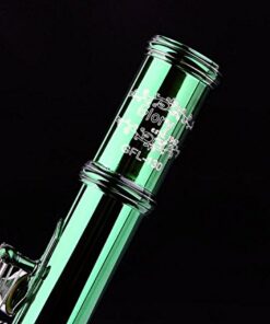 Glory Closed Hole C Flute With Case, Tuning Rod and Cloth,Joint Grease and Gloves Green 14 41hPEiaZ55L