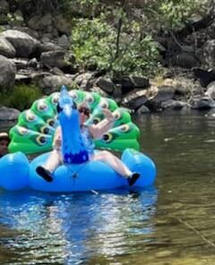 JOYIN Inflatable Peacock Pool Float - Giant Green Peacock Ride on Raft for Swimming Pool, Beach Floaties, Party Decoration Toys, Inflatable Island, Summer Pool Raft Lounge for Adults & Kids Water Fun Blue 46 41hU2kfjZFL