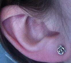 Sterling Silver Rose Flower Stud Earrings - 7mm Rhodium Plated 45 41inn7RcQVL