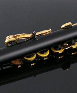 Glory Closed Hole C Flute With Case, Tuning Rod and Cloth,Joint Grease and Gloves black/Laquer Black/Gold 13 41irWebvtpL