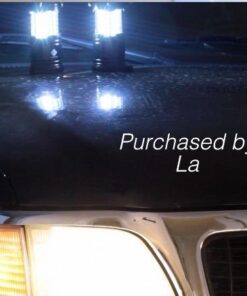 Etekcity Lantern Camping Essentials Lights, Led Lantern for Power Outages, Tent Lights for Emergency, Hurricane, Battery Powered Flashlight, Survival Kits, Operated Lamp, 2 Pack, Black 54 41jqwe04VVL