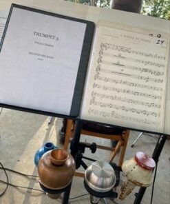 Hercules Stands HA100 Clamp-on Four Mute Holder - Trumpet, Trombone, Cornet, French Horn 12 41kT3YohyIL