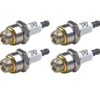 Briggs & Stratton 796112-4pk Spark Plug (4 Pack) Replaces J19LM, RJ19LM, 802592, 5095K 13 41klbDLSizL