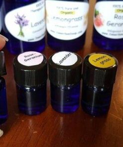 Vivaplex 24, Cobalt Blue, 2 ml (5/8 Dram) Glass Bottles, with Orifice Reducers and Black Caps 24 41lTTgNUPDL