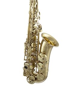 Prelude Student Model AS711 Alto Saxophone by Conn-Selmer MultiColored 17 41mC9DtLM5L