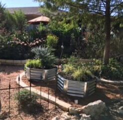 Sunnydaze 40-Inch Hexagon Galvanized Steel Raised Garden Bed Kit - Outdoor Metal Planter for Plants and Vegetables - Silver 44 41mW5jdJ4TL