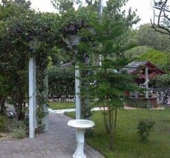 Scotts Turf Builder Starter Fertilizer for New Grass, Use When Planting Seed, 5,000 sq. ft., 15 lbs. Standard 5,000 sq. ft. 49 41mmAUUCWeL