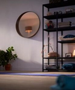 Philips LED Basic Frosted Non-Dimmable A19 Light Bulb - EyeComfort Technology - 1500 Lumen – Soft White (2700K) – 14W=100W - E26 Base - Old Version - Indoor - 8-Pack Soft White (2700k) 8 Count (Pack of 1) Basic LED (Old Version) 100W 24 41nhGfDiNL