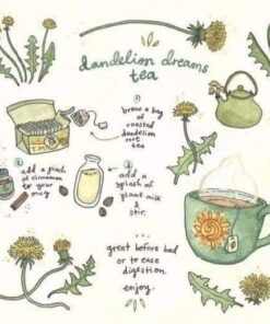 Healing Herbal Teas: Learn to Blend 101 Specially Formulated Teas for Stress Management, Common Ailments, Seasonal Health, and Immune Support 32 41nuvYJNd7L