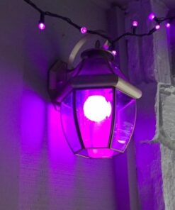 Kobra LED Color Changing Light Bulb with Remote Control - 16 Different Color Choices Smooth, Fade, Flash or Strobe Mode - Smart Remote Lightbulb - RGB & Multi Colored 2 Count (Pack of 1) 34 41oMKy70IL