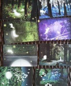 Glow In The Dark Postcards Set of 30 Woodland Animals Forest Deer Postcard Post Card Greeting Cards (Variety Pack) 47 41prjOXYs8L