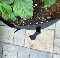 VIVOSUN 5-Pack 15 Gallon Plant Grow Bags, Heavy Duty Thickened Nonwoven Fabric Pots with Handles Black 15 Gallons 43 41q pKILnKL