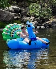 JOYIN Inflatable Peacock Pool Float - Giant Green Peacock Ride on Raft for Swimming Pool, Beach Floaties, Party Decoration Toys, Inflatable Island, Summer Pool Raft Lounge for Adults & Kids Water Fun Blue 47 41q8iDMWIfL