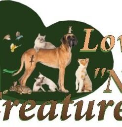 Love "N" Creatures - Mess Free Pet Food Dish - Boxer, Bulldog, Pug Puppy Feeding Bowl - Best for Flat Faced Puppies - Slanted Medium Puppy Size, Color Blue 11 41qE0u6pKUL