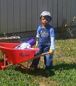 True Temper Poly KPWB10 Kids Wheelbarrow, 1.25-Cubic Foot Capacity 18 41qiD8sNmL