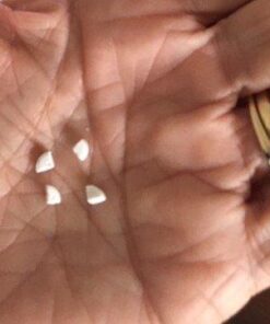 The Equadose Pill Splitter. The Best Pill Cutter Ever! Doubles as a Pill Box. Great for Pets Too! 47 41rkIKmqwpL