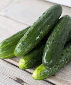 Cucumber, Long Green Improved Seeds, NON-GMO, 25 seeds per package,Long Green Improved Cucumber is a strong, vigorous producer . 7 41rmfMRzeoL