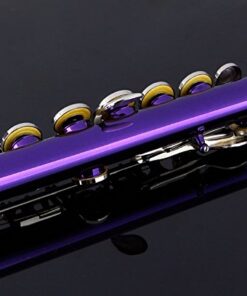 Glory Closed Hole C Flute With Case, Tuning Rod and Cloth,Joint Grease and Gloves Purple 11 41sji06vREL
