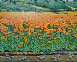 Nikon PC-E FX NIKKOR 24mm f/3.5D ED Fixed Zoom Lens for Nikon DSLR Cameras 5 41spVmPEaFL