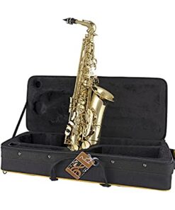 Prelude Student Model AS711 Alto Saxophone by Conn-Selmer MultiColored 12 41tWUc TNHL