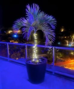 Brightown Solar String Lights, 2 Packs Total 66Ft 200 LED Solar Fairy Lights with 8 Modes, Waterproof Solar Lights for Outside Patio Yard Tree Wedding Christmas(Warm White) 33FT*2Packs Warm White 37 41tzm9YUgpL