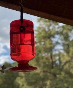 First Nature 3055 32-ounce Hummingbird Feeder 46 41uVyjG18EL