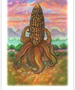 Vision Quest Tarot 36 41vZB0HhCL