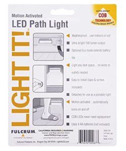 LIGHT IT! by Fulcrum, 20032-301 LED Path Light, Silver, Single Pack 29 41veIYArTnL