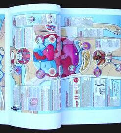 Information Graphics 55 41vtedcJyAL