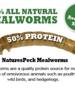 NaturesPeck Mealworm Time® Dried Mealworms (10 lbs. 2 x 5 lbs. Bags) for Chickens & Wild Birds, Fish 7 41w dvXu HL