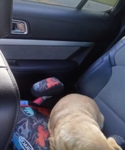 Graco TurboBooster Backless Booster Car Seat, Dinorama Dinorma 26 41w vy50SrL