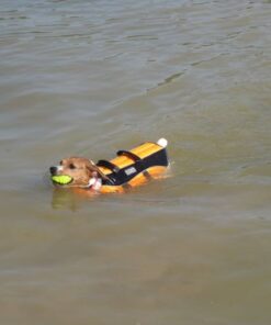 Outward Hound Granby Splash Orange Dog Life Jacket, Medium Granby (Flotation) Medium (Chest Girth: 21"-27") 39 41wB6V8pjuL