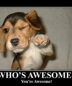 GREENIES Original Petite Natural Dog Dental Care Chews Oral Health Dog Treats, 36 oz. Pack (60 Treats) Petite Size (15-25 lb Dog) 60 Count (Pack of 1) 48 41wDclY9pnL