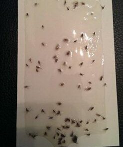 Gardner - Fly Traps Indoor for Home, Indoor Bug Trap, Plug in Bug Catcher Indoor, Fly Catcher Indoor, Gnat Traps for House Indoor Plug in, Fruit Fly Traps for Indoors, Flying Insect Trap Indoor(Grey) Light Grey 40 41wvgKwN6RL