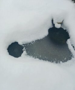 Aquascape 75000 Pond Air 2 (Double Outlet Aeration Kit) 2-Outlet 68 41wvvwOj5bL