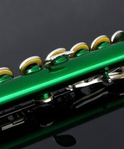 Glory Closed Hole C Flute With Case, Tuning Rod and Cloth,Joint Grease and Gloves Green 12 41x4ILp2rgL