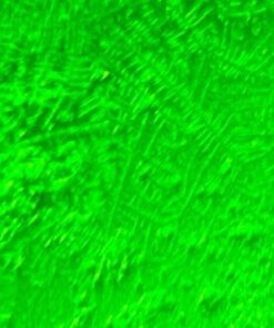 Fairhaven Health Fertile Focus Ovulation Test Kit - Women's Fertility Tracker and Predictor - 3 Days in Advance - Ovulation Kit - Accurate, Reusable Home Saliva Test - Results in Five Minutes 47 41xGkDUkkeL