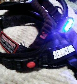 LED Safety Light (2 Pack) + Free Bonuses | Clip On Strobe/Running Lights for Runners, Dogs, Bike, Walking | The Best High Visibility Accessories for Your Reflective Gear, Bicycle etc Blue 31 41xOKMAbTML