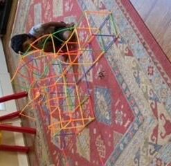 ZOZOPLAY Straw Constructor STEM Building Toys 400 Piece Straws and Connectors Building Sets Colorful Motor Skills Interlocking Plastic Engineering Toys Best Educational Toys Boy & Girl… 400piece 31 41yhi6m0vkL