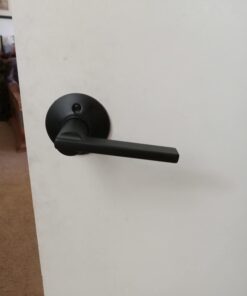 Schlage F10 V LAT 622 Latitude Door Lever, Hall & Closet Passage Lock, Matte Black Standard 28 41yivmEAeL