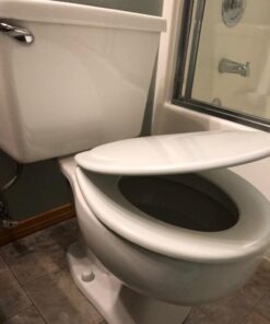 Mayfair 830NISL 000 Toilet Seat, 1 Pack-ROUND, White-Brushed Nickel Hinges 1 Pack - ROUND White - Brushed Nickel Hinges 37 41zH78Gm3vL